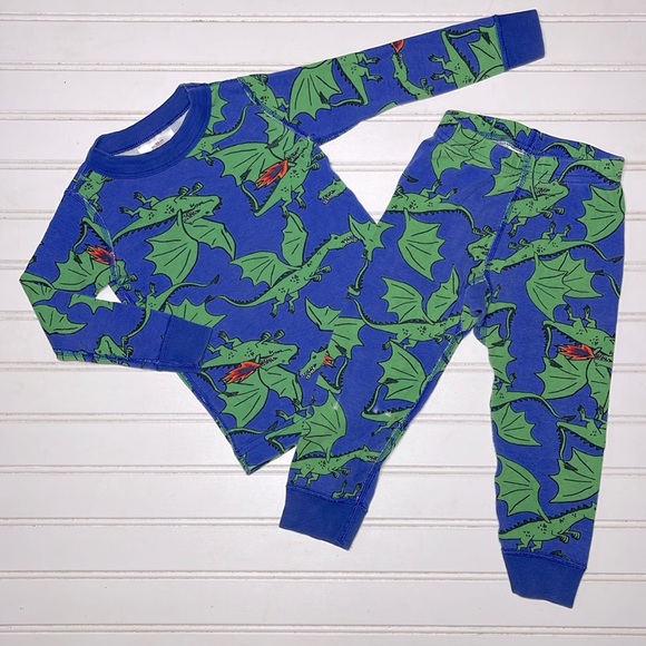 HANNA ANDERSSON 100% Organic Cotton Fire Breathing Dragon Pajama Set - Picture 1 of 2